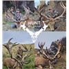 Image 1 : 5 Day New Zealand 500 Class Red Stag hunt for 1 hunter and 1 companion