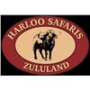 Image 1 : Harloo Safaris