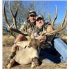 Image 2 : Desert Mule Deer Hunt in Sonora Desert Mexico - Rincon Outfitters