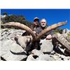 Image 15 : Beceite Ibex  Hunt in Zaragoza Spain Donated by 4 Aces Outfitters