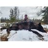 Image 1 : Great Northern Safari Wolf Hunt