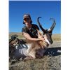 Image 1 : Wyoming Antelope Hunt