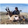 Image 4 : Wyoming Antelope Hunt