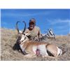Image 5 : Wyoming Antelope Hunt