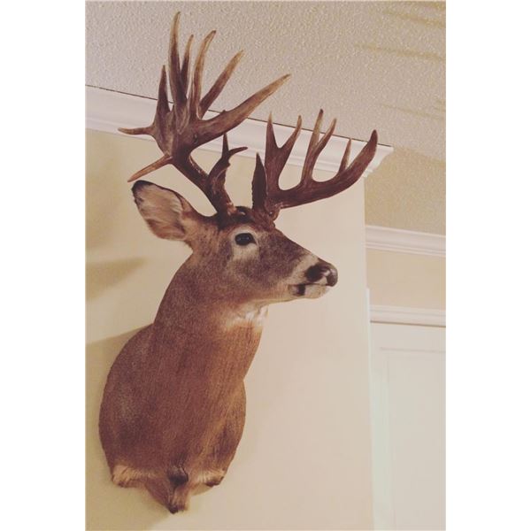 UNBELIEVABLE LAST-MINUTE ADDITION - Baker’s Adrenaline Outfitters