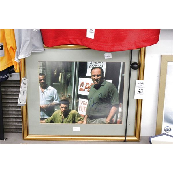 James Gandolphini Autographed Sopranos Photo