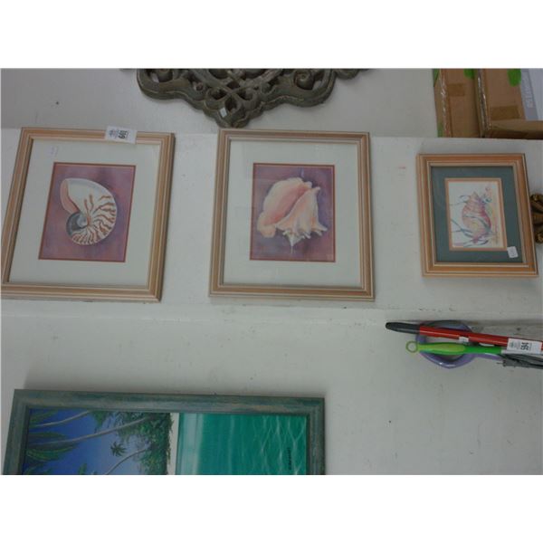 Small Sea Shell Wall Art - 3