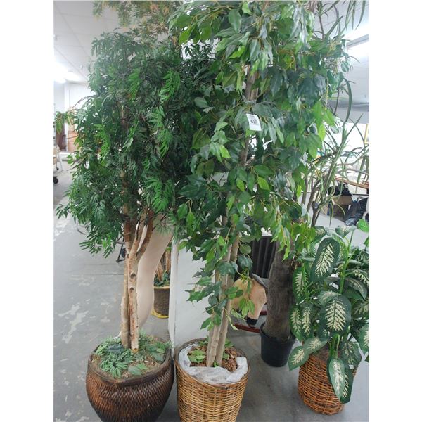 3-6' Silk Ficus Trees - 3 X $