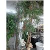 Image 2 : Large Silk Potted Trees 10' - 2