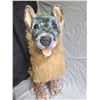 Image 5 : Vintage Hyena/Dog Stuffie A