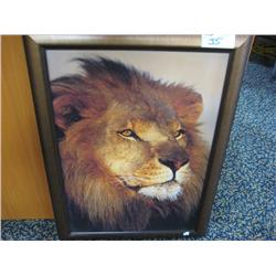 Print "lion Portrait"