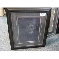 Limited Edition Print "cats Eye" By Rudy Benno