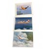 Image 3 : Assorted DeHavilland Dash Plane/ Configuration Posters