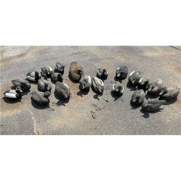 Assorted Floating Duck Decoys X 21 Qty
