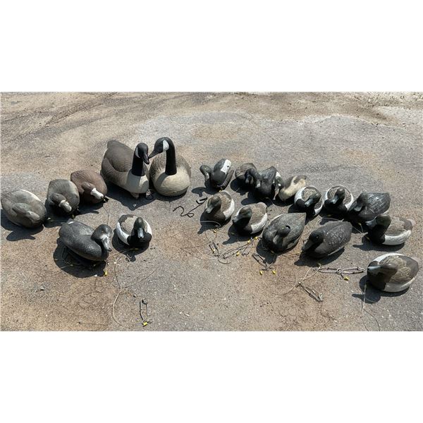 Assorted Floating Duck and Goose Decoys X 20 Qty