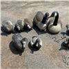 Image 2 : Assorted Floating Duck and Goose Decoys X 20 Qty