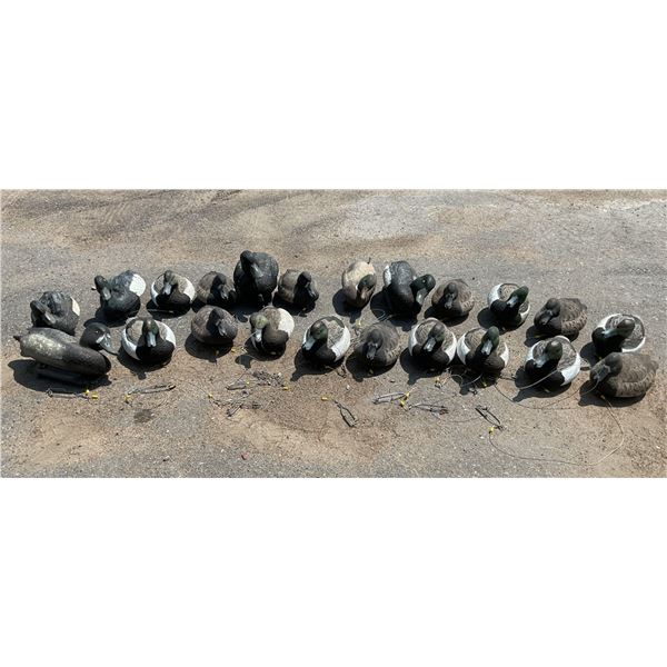 Assorted Floating Duck Decoys X 22 Qty