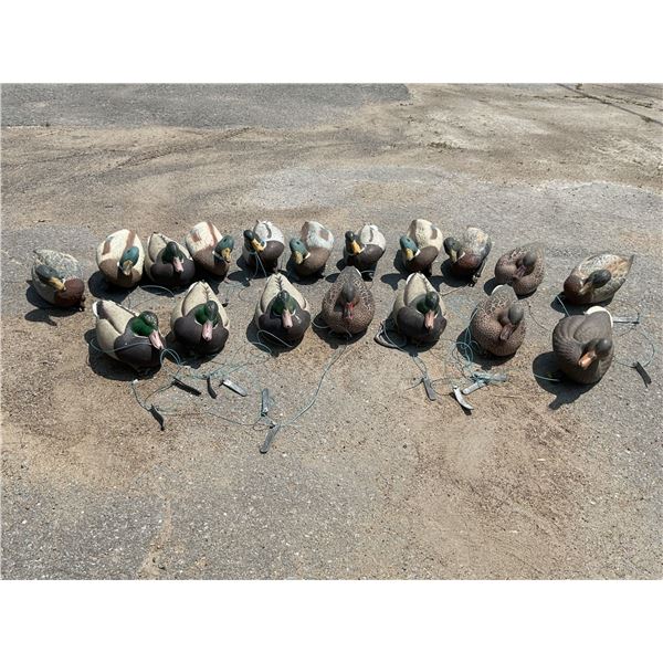 Assorted Floating Duck Decoys X 18 Qty