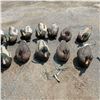 Image 3 : Assorted Floating Duck Decoys X 18 Qty