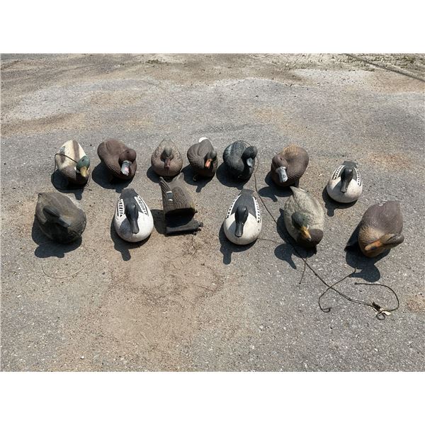 Assorted Duck Decoys X 13 Qty