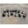 Image 1 : Assorted Duck Decoys X 13 Qty