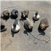 Image 3 : Assorted Duck Decoys X 13 Qty