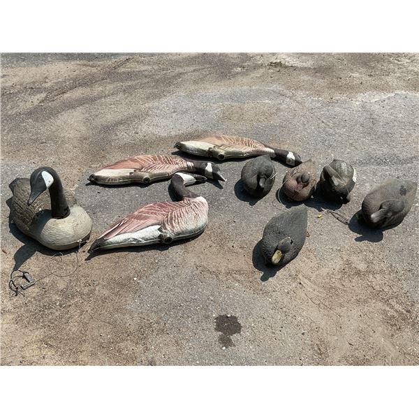 Assorted Duck and Goose Decoys X 9 Qty