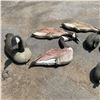 Image 2 : Assorted Duck and Goose Decoys X 9 Qty