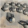 Image 2 : Canada Goose Plastic Decoys X 15