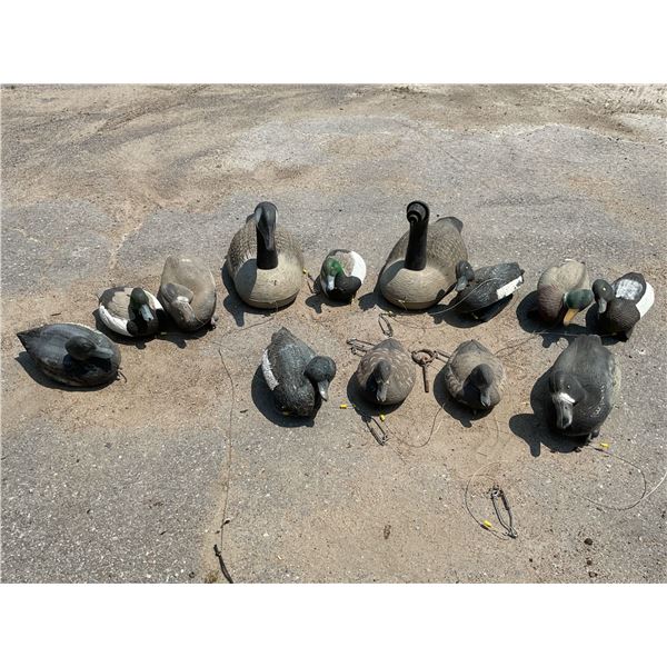 Assorted Floating Duck and Goose Decoys X 13 Qty
