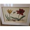 Image 2 : L. Tulipa Floral Artwork, Framed 21" x 17"