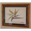 Image 1 : Bird of Paradise Artwork Limited Edition 39/250 by Alex Gupton, Framed 30" x 38"