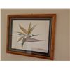 Image 8 : Bird of Paradise Artwork Limited Edition 39/250 by Alex Gupton, Framed 30" x 38"