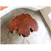 Image 3 : Wooden Live Edge Table 28" Dia, 14"H