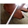 Image 8 : Wooden Live Edge Table 28" Dia, 14"H