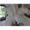 Image 3 : Ostrich Feather Lamp on Metal Base 33"H