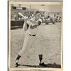Image 1 : 1967 WASHINGTON SENATORS 8"x10"PUBLICITY PHOTO - GIL HODGES (HOF)