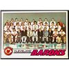 Image 1 : 1977-78 O-PEE-CHEE CLEVELAND BARONS