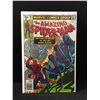 Image 1 : MARVEL COMICS NO.191 THE AMAZING SPIDERMAN