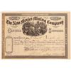 Image 1 : New Mexico Mining Co. Stock, 1878 [180199]