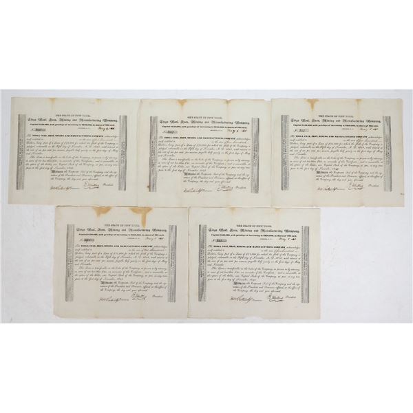 Tioga, Coal, Iron, Mining and Manufacturing Company Stock [195223]