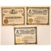 Image 1 : Warren & Ouachita Valley Railway Stock Certificates [199669]