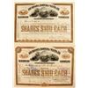 Image 1 : Unlisted Atchison, Topeka and Santa Fe Railroad Stock [199684]