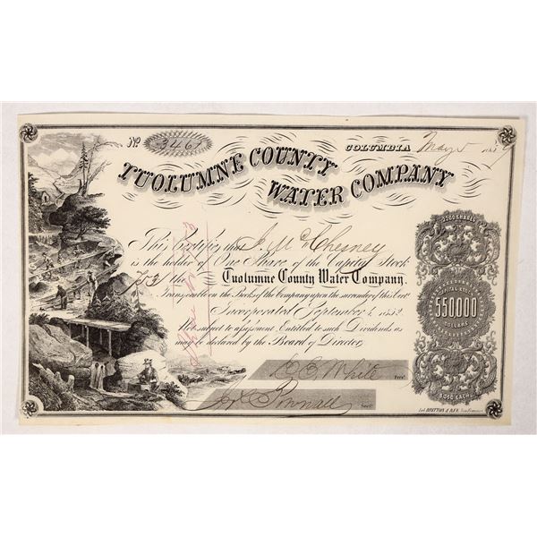 Tuolumne County Water Co. Stock, J W Chesny Issuee [192330]