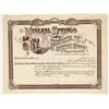 Image 1 : Mineral Springs Manufacturing & Investment Co. Stock Certificate, Denver, c.1889 [192917]