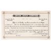 Image 1 : Swede Ditch Stock, 1903, Very Rare [191539]
