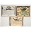 Image 1 : American Express Company Family Stock Trio incl. Wells & Fargo Signatures [197910]