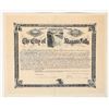 Image 1 : City of Niagara Falls Bond, c1906 [191560]