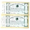 Image 1 : Washington Fire Co. Stock Assoc. Pair, 1867 [191198]