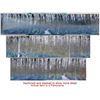 Image 1 : Cypress Swamp Color Panorama [106383]